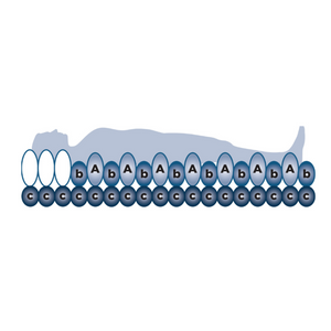 Alerta, Bariatric 2  Advanced Alternating Pressure Mattress for High-Risk Bariatric Pressure ,Ulcer Prevention vector image
