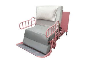 Centrobed Timor Profiling Bed Chair