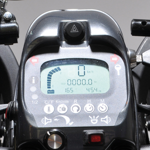 Freerider | Experience Luxury and Performance with the Freerider FR1 Mobility Scooter Ride in Style with Radical Design meter