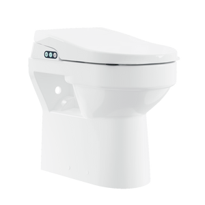 AKW Back to Wall Bidet Toilet