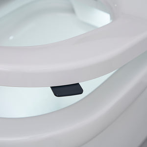 AKW Bidet Seat Lift Assist