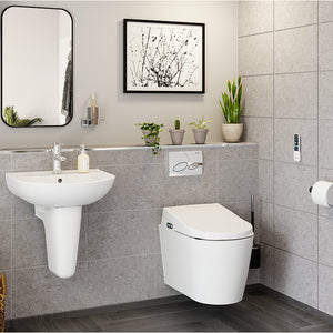 AKW Wall Hung Bidet Room