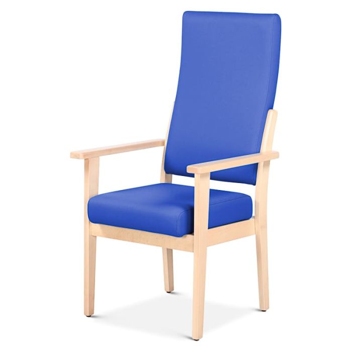 Bristol Maid Alderbury High Back Patient Armchair 5ND/HAR/ALDE/VVDEL
