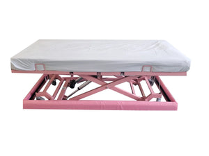 Centrobed Fundy Low Start Profiling Bed