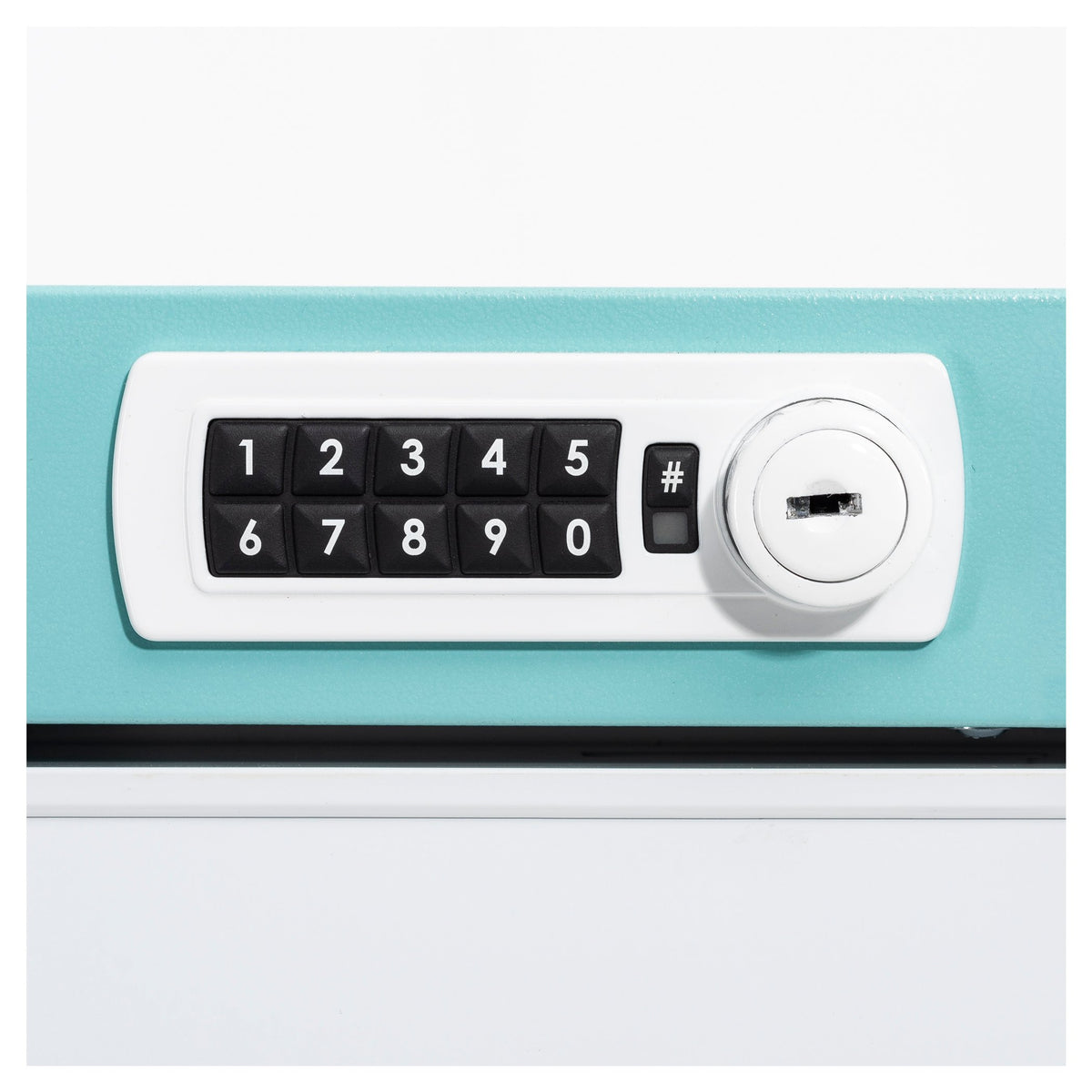 LEC Medical NSF39BT Neonatal key lock