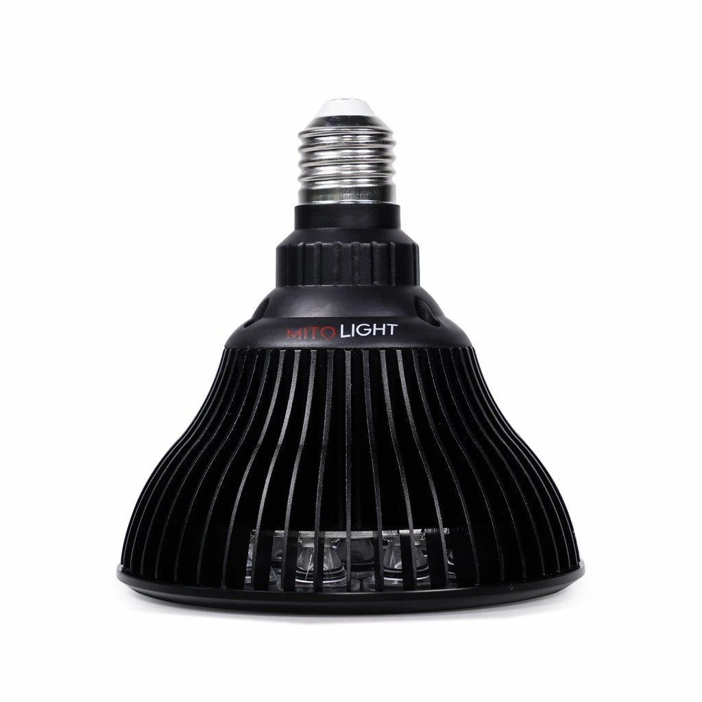 Mito Light Bulb 4.0 Red Light Therapy Top View