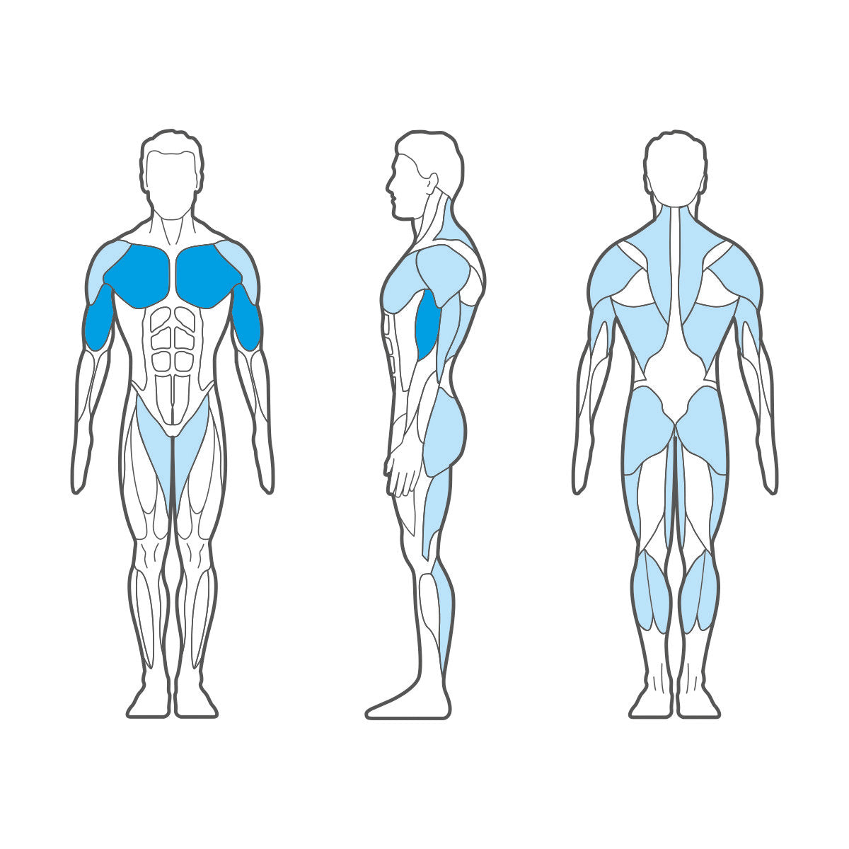 Pulse Fitness Crossover Muscle Groups
