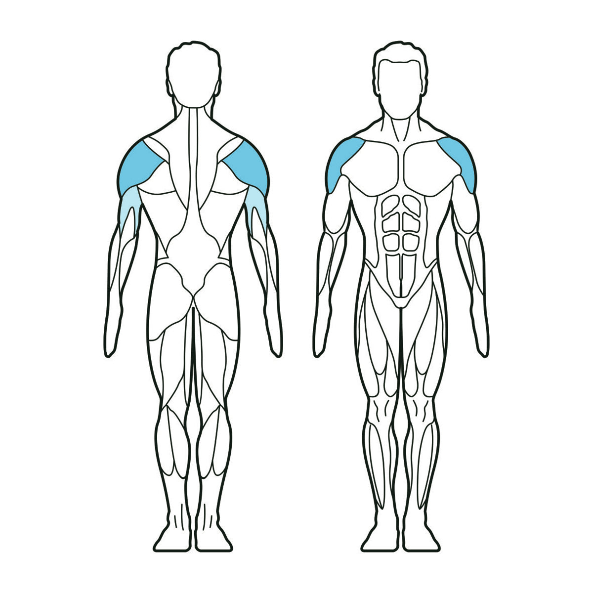 Pulse Fitness | Shoulder Press with Converging Axis
