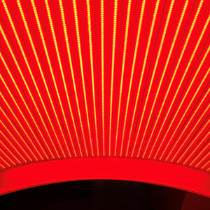Pure Wellness Co The Pure Red Lie Down Red Light Therapy lights