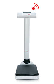 Seca 704 EMR Column Scale With 300 Kg Capacity