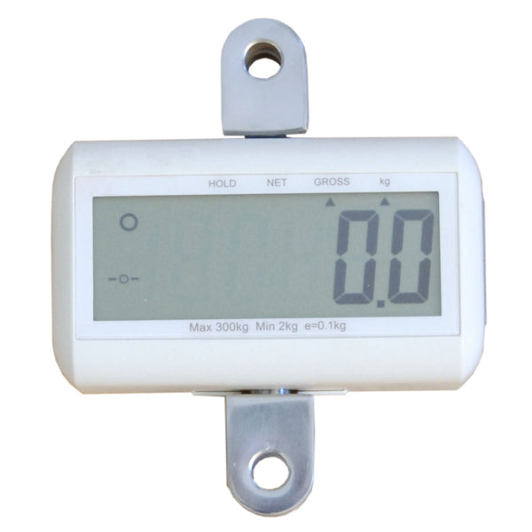 Direct Healthcare Group MHS2500 Digital Lift Scale  full display